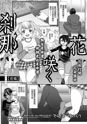 Hanasaku Setsuna cover