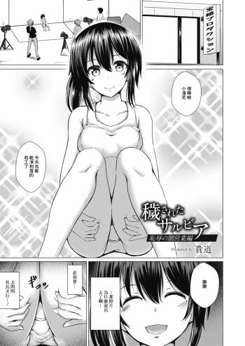 Kegasareta Salvia Chijoku no Yami Eigyou Hen cover