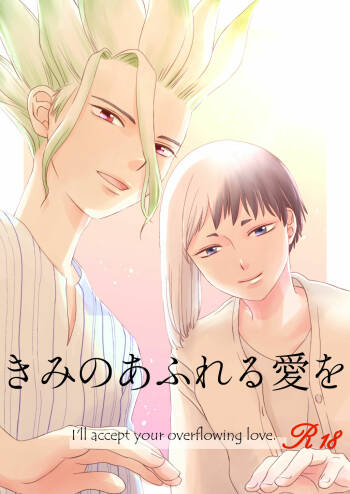 きみのあふれる愛を cover