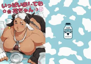 Ippai Dashite ne Hana-chan cover