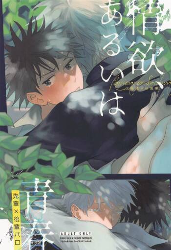 joyoku、aruihaseishun cover