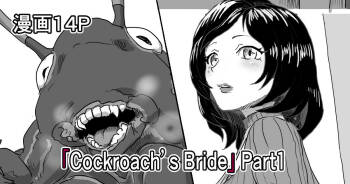 Cockroach's Bride | 蟑螂的新妻 cover