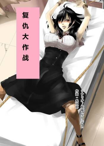 Revenge big strategy for the impregnable woman cover