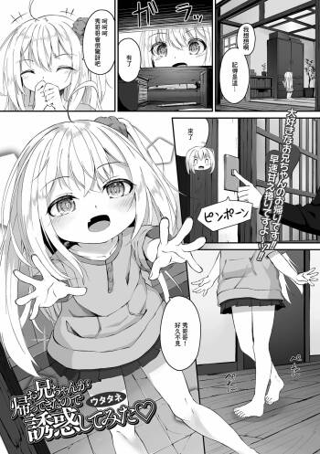お兄ちゃんが帰ってきたので誘惑してみた cover