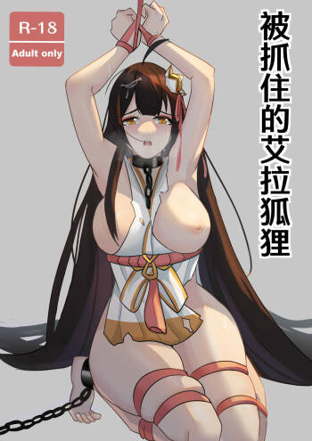 艾拉的戰敗本 cover