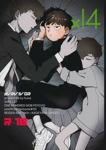 x14 cover