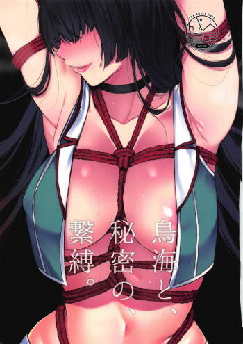 Choukai to, Himitsu no, Keibaku. cover