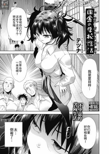 田舎の学校性活 cover