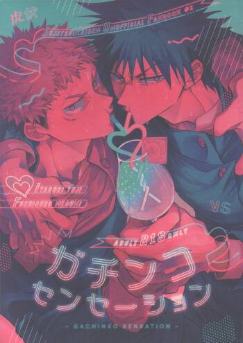 Gachinko Sensation cover