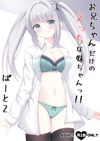 Onii-chan dake no Ecchi na Imouto-chan!! Part 2 cover