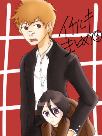 Ichiruki matome ③ cover