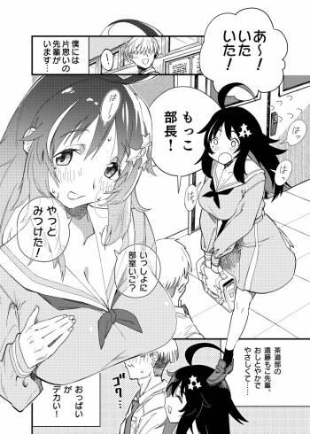 Mokko-chan wa Chiisai kedo Okkii cover