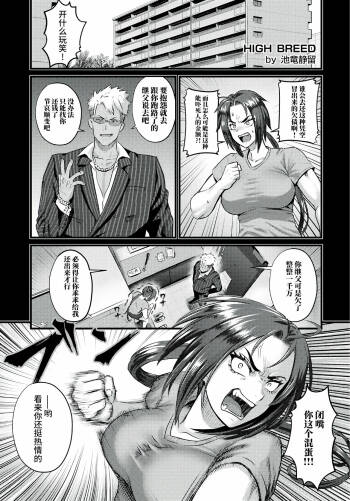 HIGH BREED～無敗女王と最強男～ cover