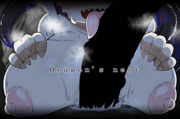 Dragon's nest cover