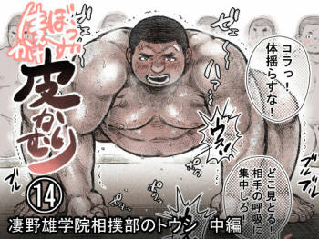 Bouzu hae Kake Kawa Kamuri 14 cover