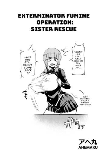 Taichuushi Fumine no 