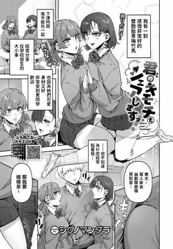 Kimi no Kimochi mo Share Shimasu! - Share your feelings! cover