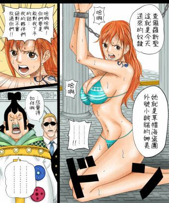 ナミさん+レイジュ漫画 （Chinese） cover