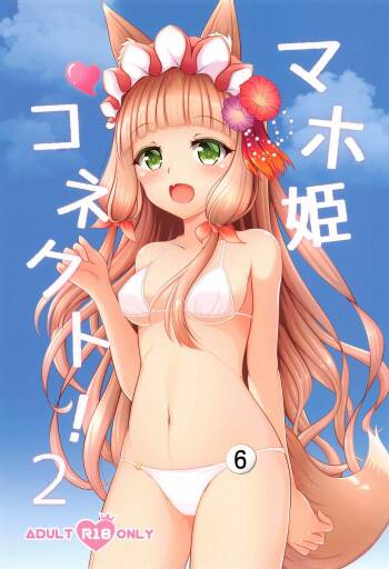 Maho Hime Connect! 2 cover