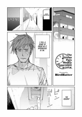 The Guinea Pig's Weekly Experiment at 8 P.M. cover