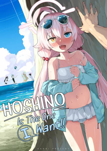Hoshino ga  Iin da yo!! | HOSHINO Is The One I Want!! cover