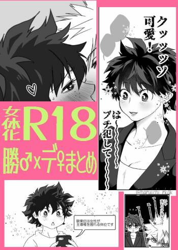 Shō de ♀ R 18 matome cover