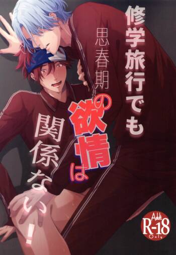Shūgakuryokō demo shishunki no yokujō wa kankeinai! cover
