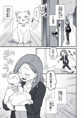 OL no Onee-san to Neko no Hanashi cover