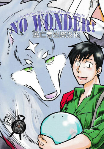 NO WONDER! cover