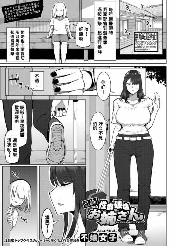 Kyoufu! Seiheki Hakai Onee-san cover