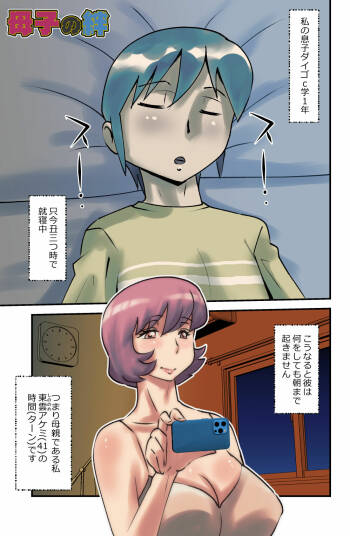 Boshi no Kizuna cover