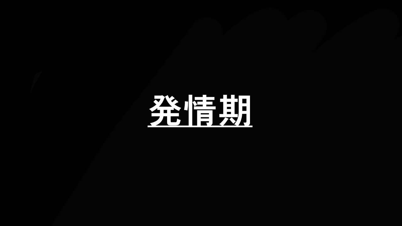 ラブラブ新婚!!まだカップル感が抜けていないよ、だから私が浮気するはずない。 page 6 full