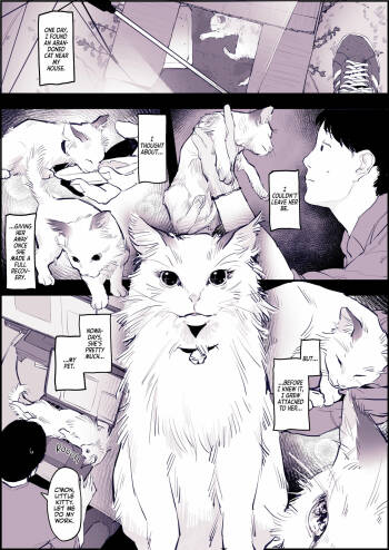 Neko cover