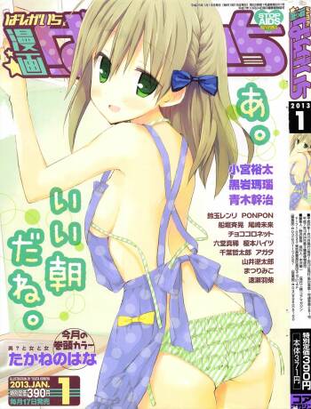 Manga Bangaichi 2013-01 cover