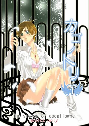 Bird in a Box 1 cover