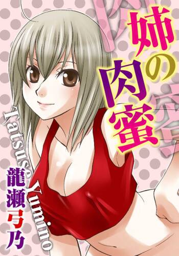 Ane no Nikumitsu cover