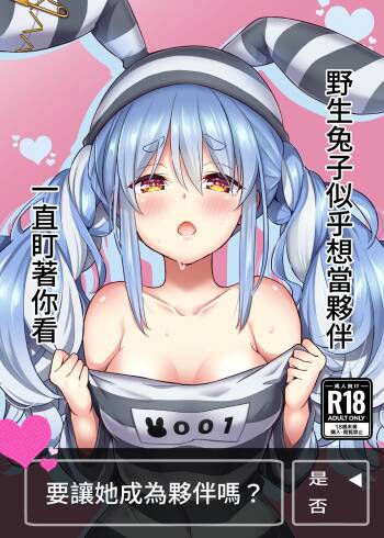 Yasei no Usagi ga Nakama ni Naritasou ni Kochira wo Miteiru cover