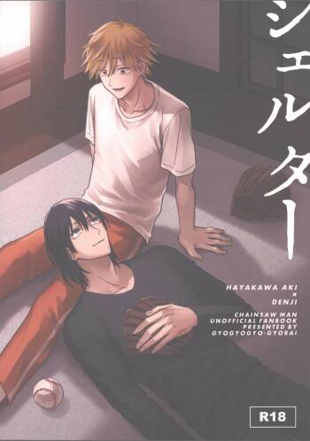 Shelter cover