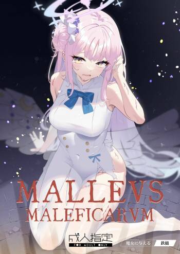 Malleus Maleficarum -Majo ni Ataeru Tettsui- cover