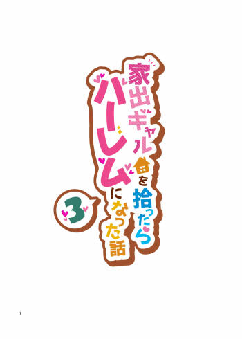 Iede Gal o Hirottara Harem ni Natta Hanashi 3 cover