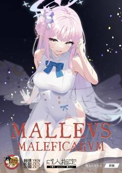 Malleus Maleficarum -Majo ni Ataeru Tettsui-