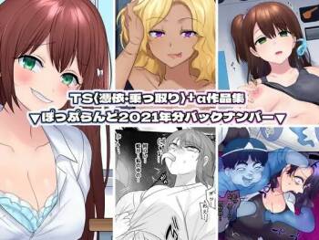 TS【憑依・乗っ取り】+α作品集 cover