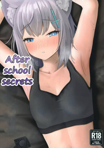 Houkago no Himitsu | After School Secrets cover