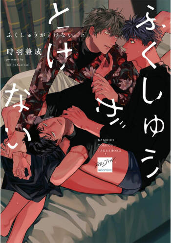 Fukushuu ga Tokenai cover