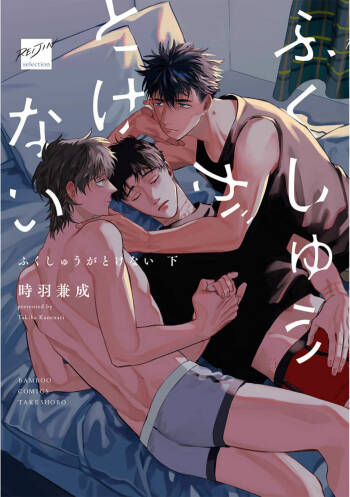 Fukushuu ga Tokenai cover