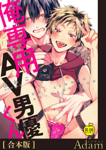 我的专用AV男优 cover