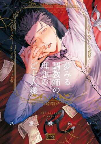 The Dreaming Trainer’s Ideal Master cover