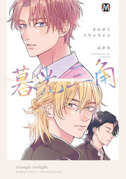 Sankaku Twilight - triangle twilight | 暮光三角