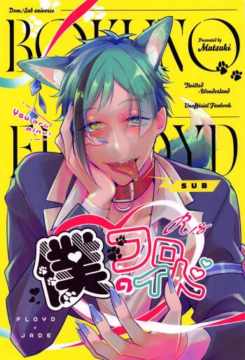 Boku no Floyd cover