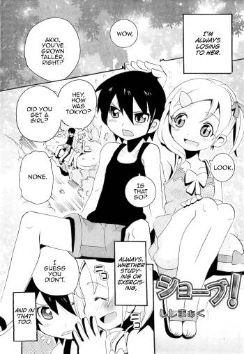 Shoubu cover
